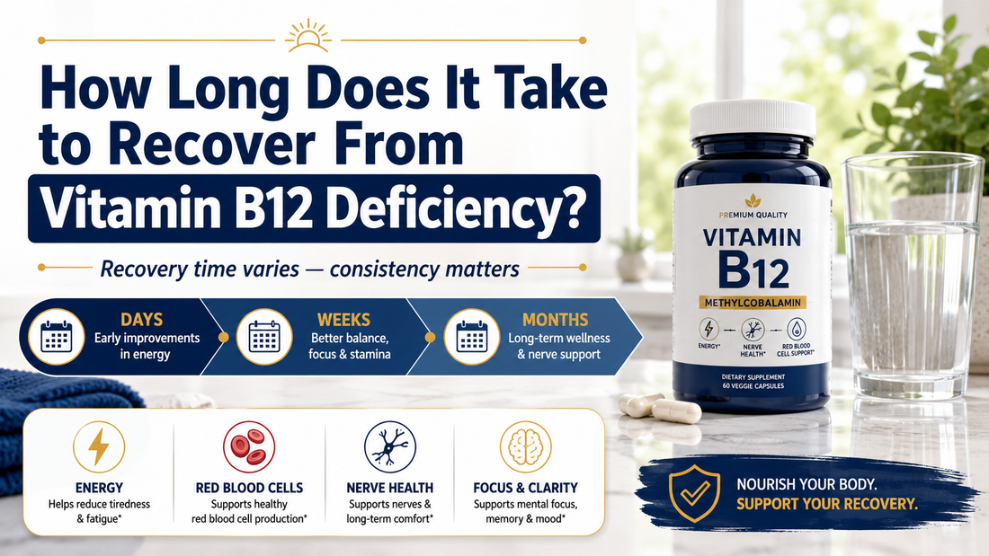 Vitamin B12 deficiency recovery timeline showing possible improvements over days, weeks and months, alongside energy, red blood cell, nerve and focus support.