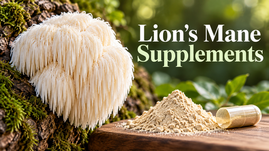 Lion’s mane mushroom on a log beside powder and an unbranded capsule