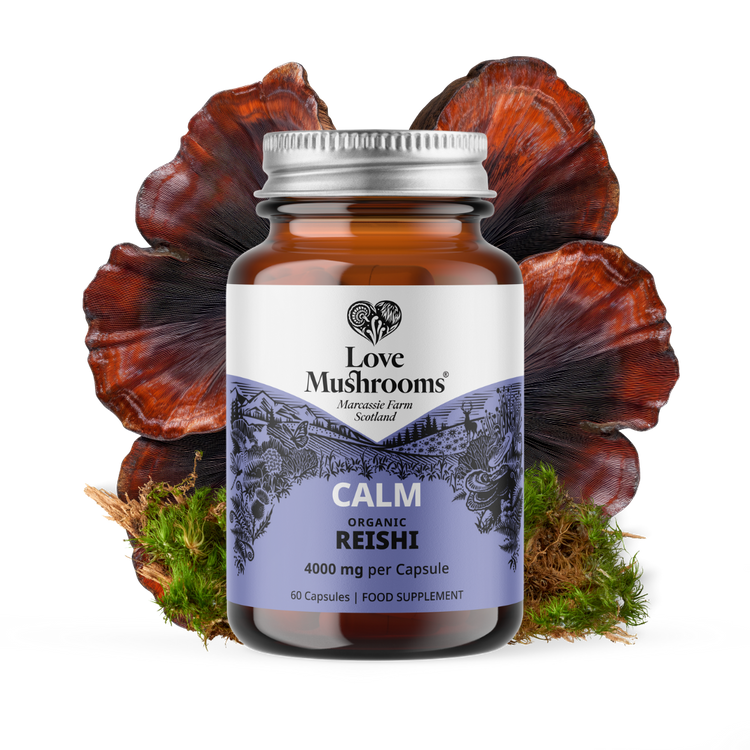 Organic Reishi 4000mg – 60 Capsules — example product from Love Mushrooms