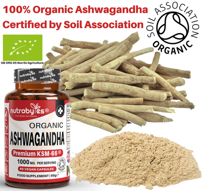 Organic Ashwagandha KSM-66® 1000mg per serving with Black Pepper – 60 Vegan Capsules | NUTRABYTES – 100 Certified Organic product graphic
