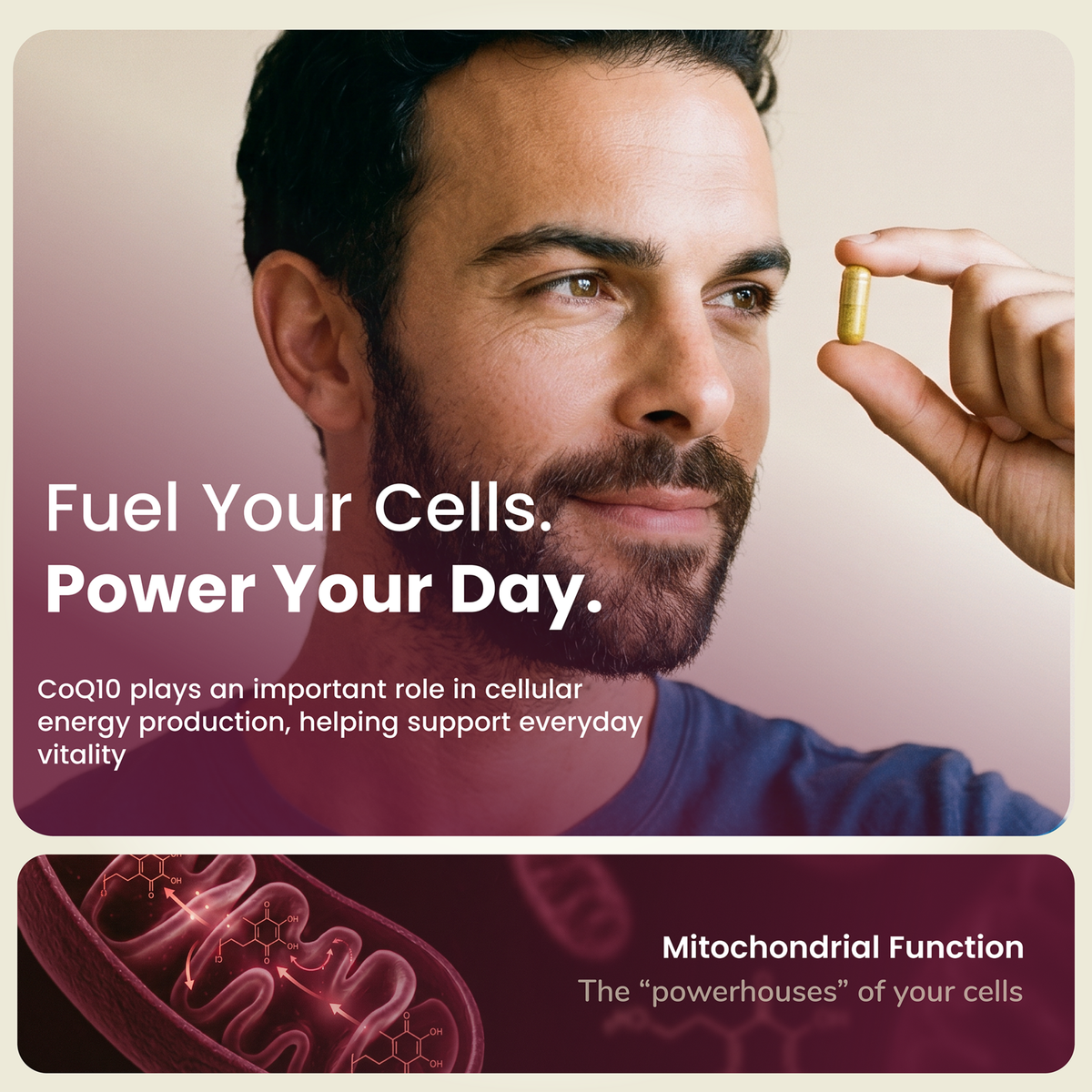 Hybrid Health CoQ10 Ubiquinone — product image 2