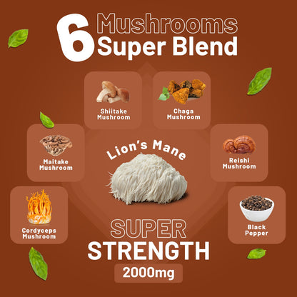 Prowise Advanced Mushroom Complex – 120 Tablets – six-mushroom blend infographic