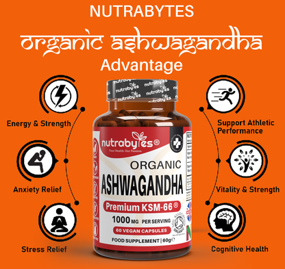 Organic Ashwagandha KSM-66® 1000mg per serving with Black Pepper – 60 Vegan Capsules | NUTRABYTES – Ashwagandha Benefits infographic