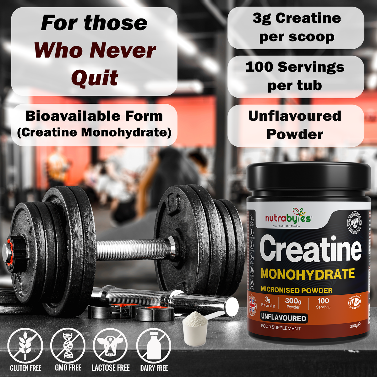 NUTRABYTES Creatine Monohydrate tub beside a barbell, powder scoop and product feature badges