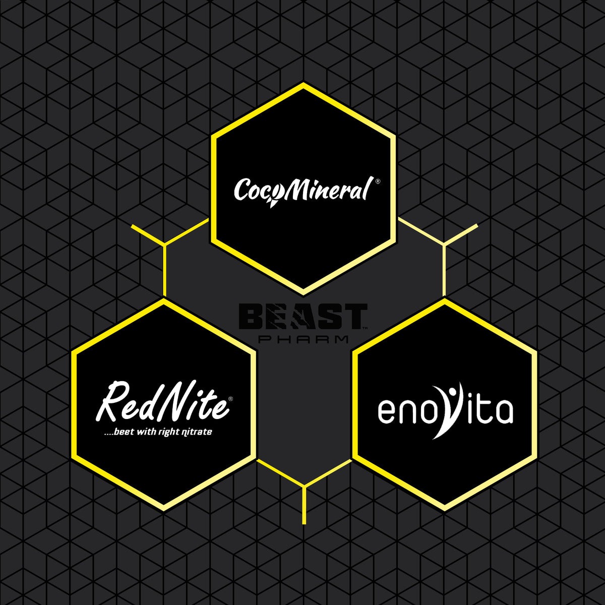 Hexagonal logos of CoogMineral, Beast Pharm, RedNite, and enovita on a black geometric patterned background.