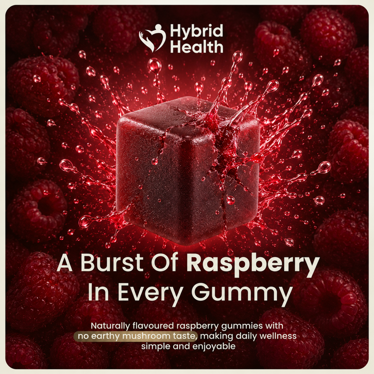 Hybrid Health 12-in-1 Mushroom Gummies — product image 5