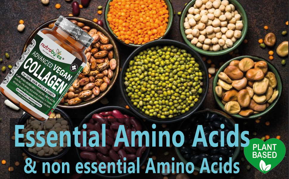 Plant-based essential and non-essential amino acids ingredient graphic