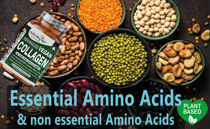 Plant-based essential and non-essential amino acids ingredient graphic