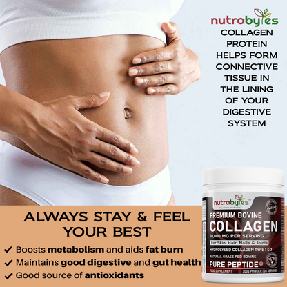 NUTRABYTES Bovine Collagen Powder 10,000mg – supplier digestive and weight-management themes infographic