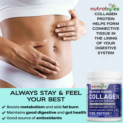 NUTRABYTES Marine Collagen Powder 10,000mg – Gut Healthand Weight Loss infographic