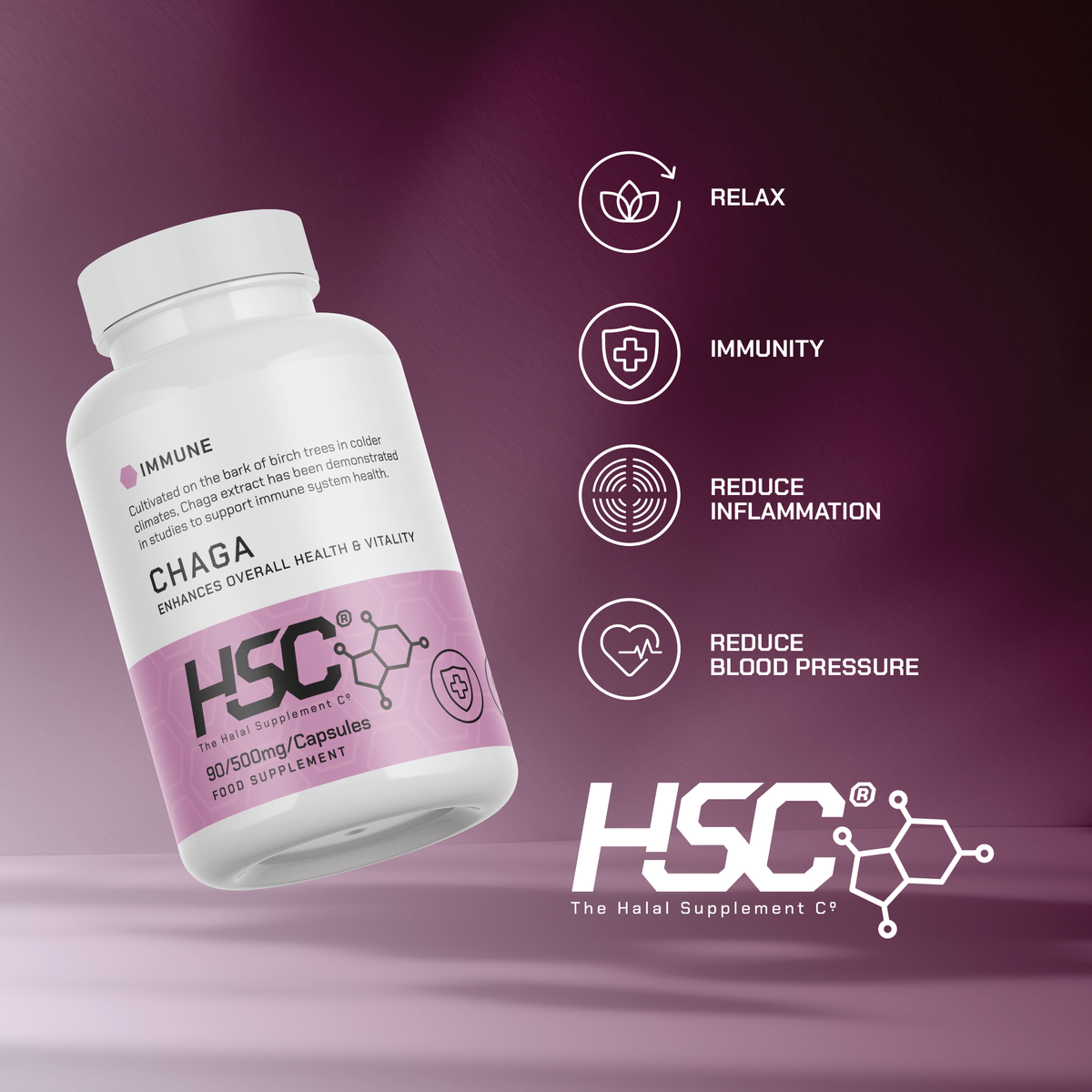 Chaga Mushroom 500mg – 90 Vegan Capsules supplier infographic showing the packaging, label information and key product features