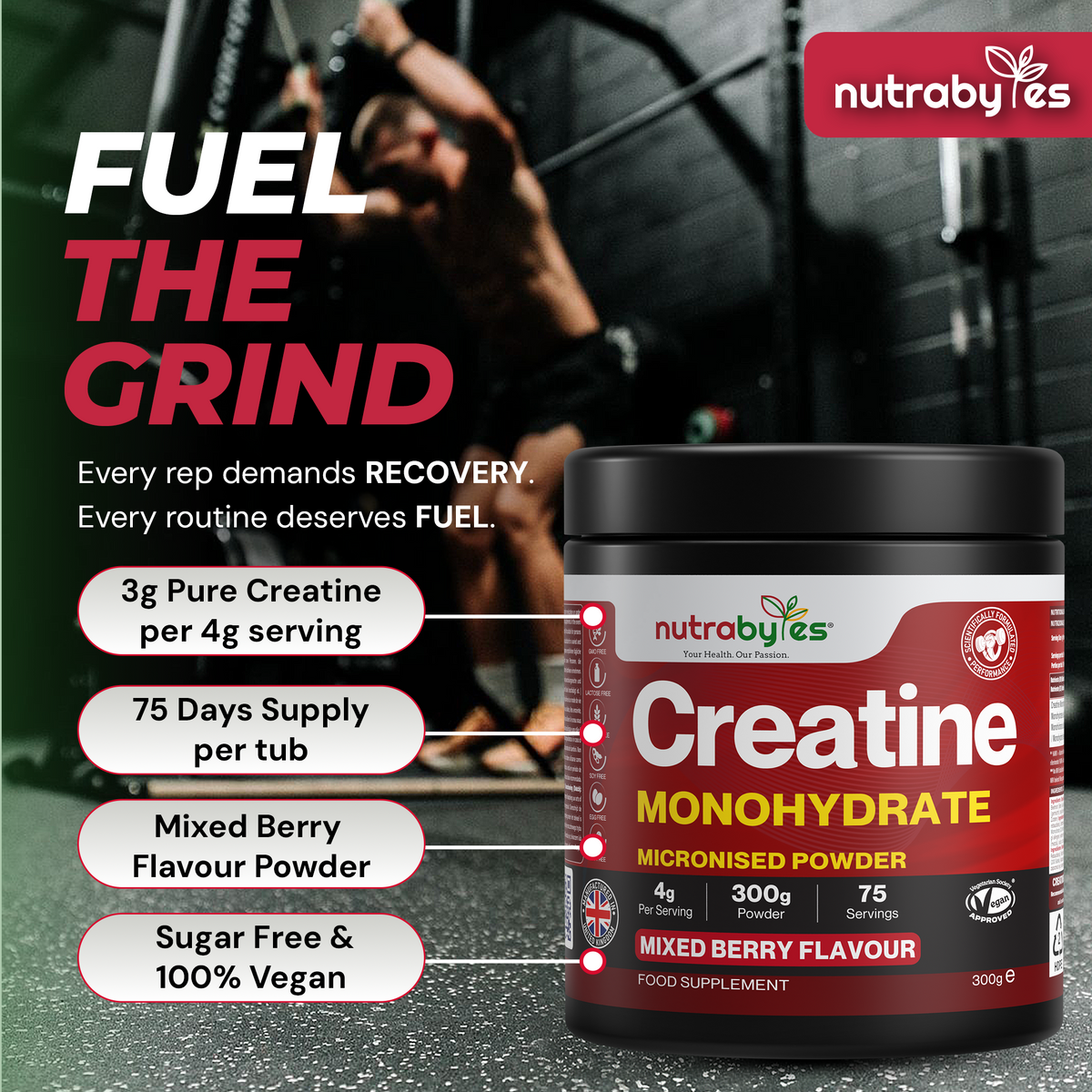 NUTRABYTES creatine monohydrate key product features