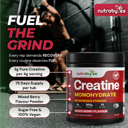 NUTRABYTES creatine monohydrate key product features