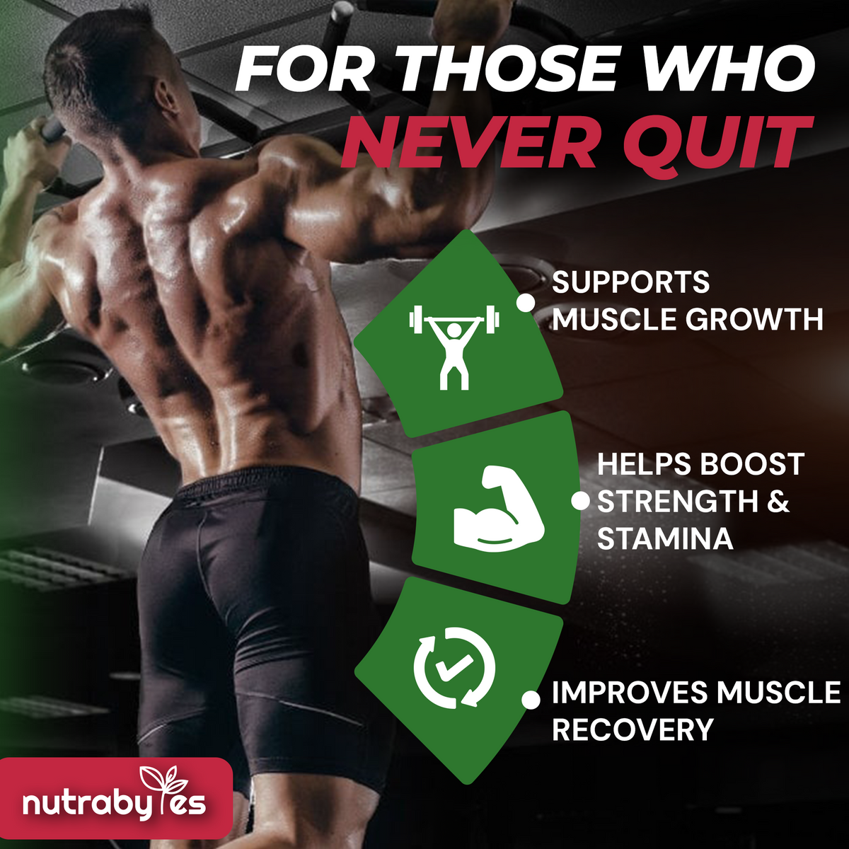 Micronised creatine monohydrate performance information
