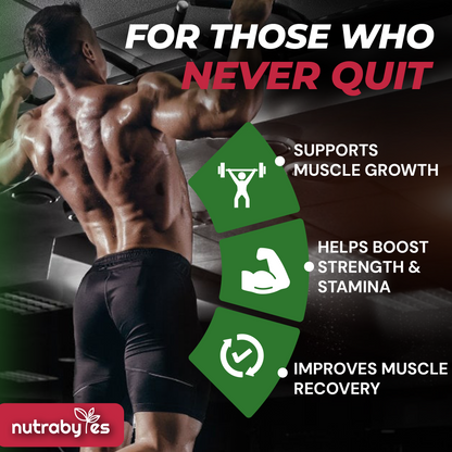 Micronised creatine monohydrate performance information