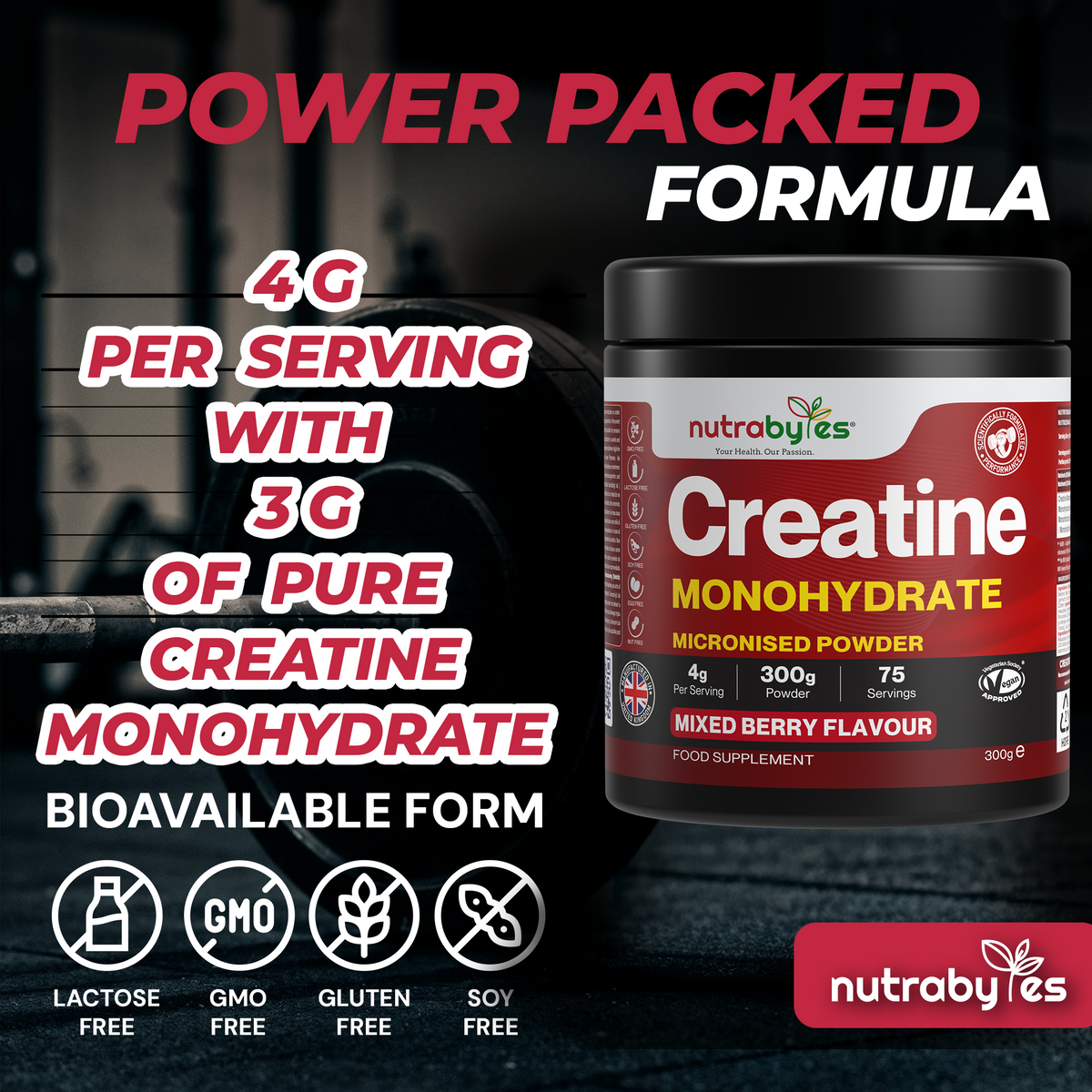 NUTRABYTES creatine monohydrate ingredients information