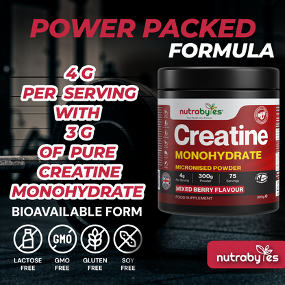 NUTRABYTES creatine monohydrate ingredients information