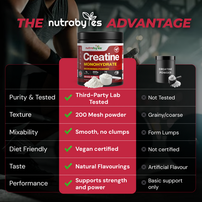 Mixed berry creatine monohydrate product benefits