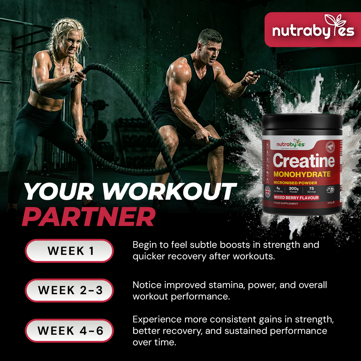 NUTRABYTES Mixed Berry Creatine Monohydrate Powder 300g lifestyle photograph showing the supplement in an everyday wellness setting