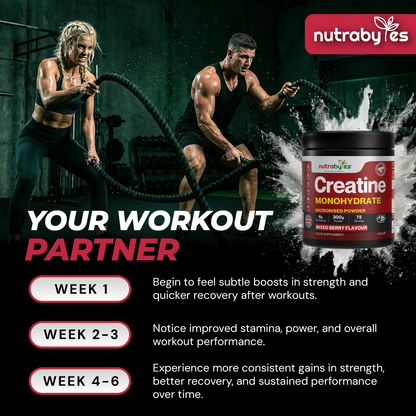 NUTRABYTES Mixed Berry Creatine Monohydrate Powder 300g lifestyle photograph showing the supplement in an everyday wellness setting