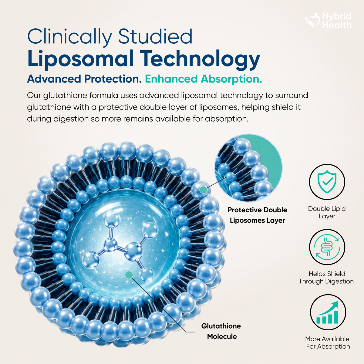 Hybrid Health Liposomal Glutathione — product image 3