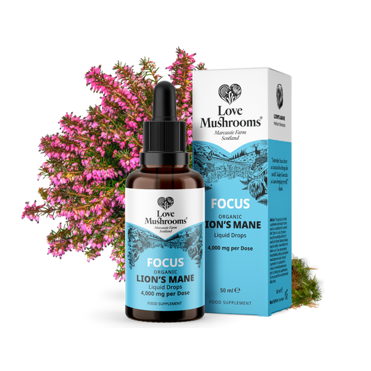 Love Mushrooms Focus Lion’s Mane liquid drops bottle and box with lion’s mane mushroom and heather