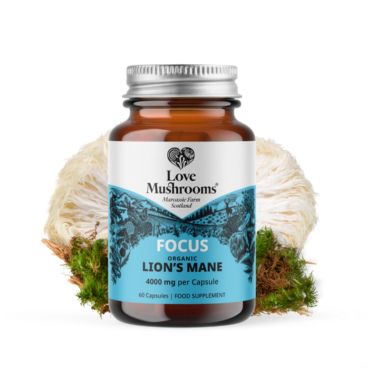 Love Mushrooms Focus Lion’s Mane 4000mg capsules bottle with lion’s mane mushrooms