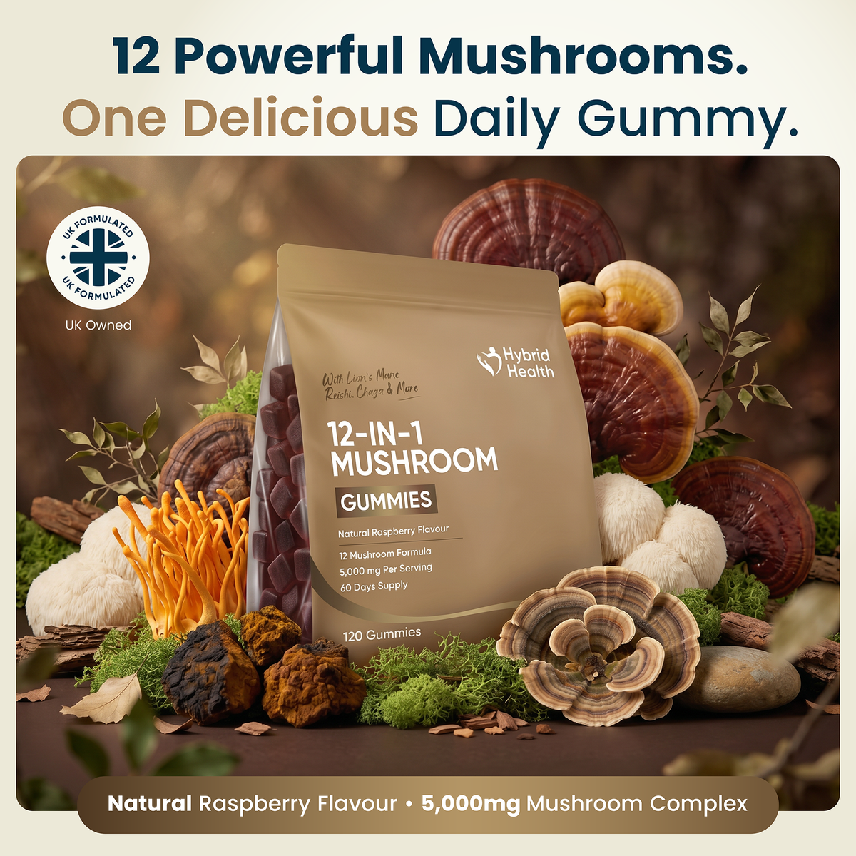 Hybrid Health 12-in-1 Mushroom Gummies — product image 2