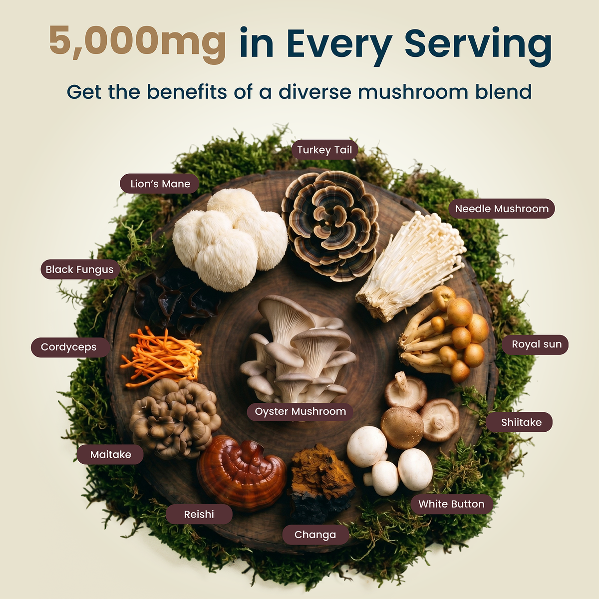 Hybrid Health 12-in-1 Mushroom Gummies — product image 3
