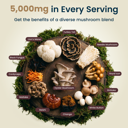 Hybrid Health 12-in-1 Mushroom Gummies — product image 3