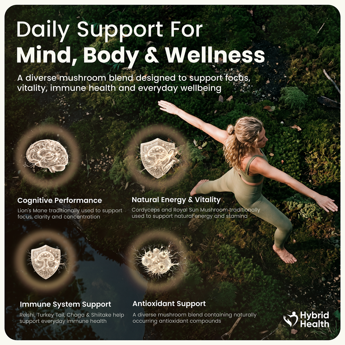 Hybrid Health 12-in-1 Mushroom Gummies — product image 4