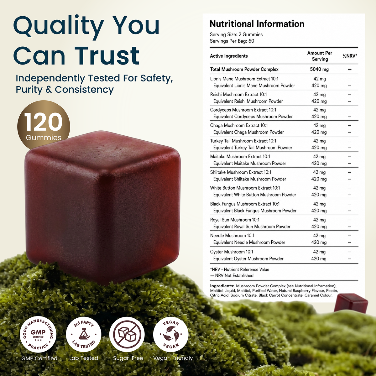 Hybrid Health 12-in-1 Mushroom Gummies — product image 7