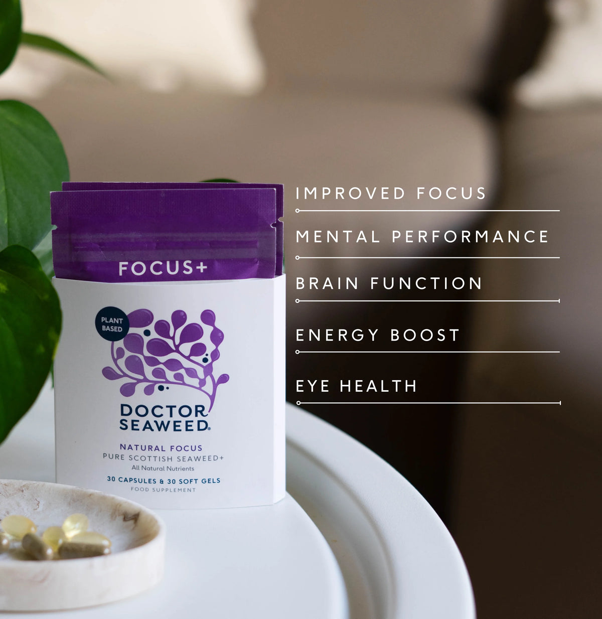 Doctor Seaweed Focus+ vitamins, minerals, iodine and algal DHA information graphic