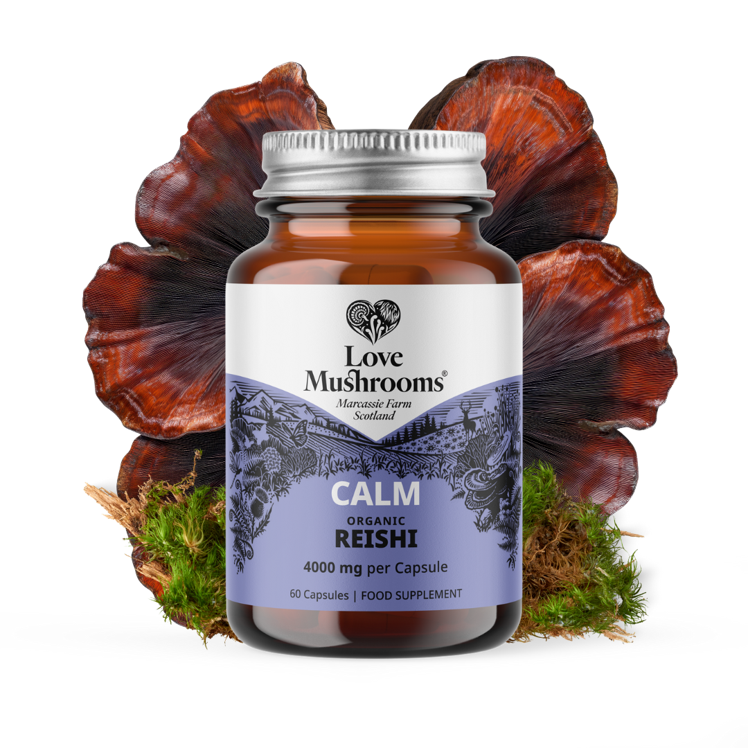 Love Mushrooms Calm Reishi 4000mg capsules bottle with reishi mushrooms