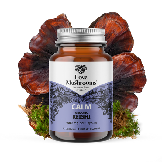 Love Mushrooms Calm Reishi 4000mg capsules bottle with reishi mushrooms