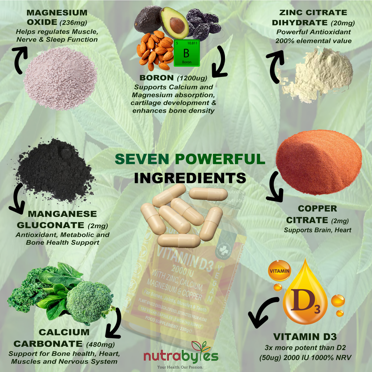 Vegan Vitamin D3 2000 IU with Calcium, Magnesium, Zinc & Copper – 180 Capsules | NUTRABYTES – seven-ingredient formula infographic