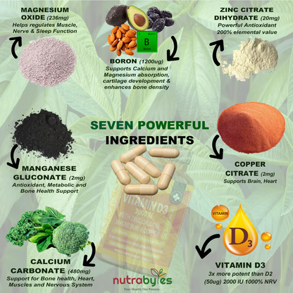 Vegan Vitamin D3 2000 IU with Calcium, Magnesium, Zinc & Copper – 180 Capsules | NUTRABYTES – seven-ingredient formula infographic