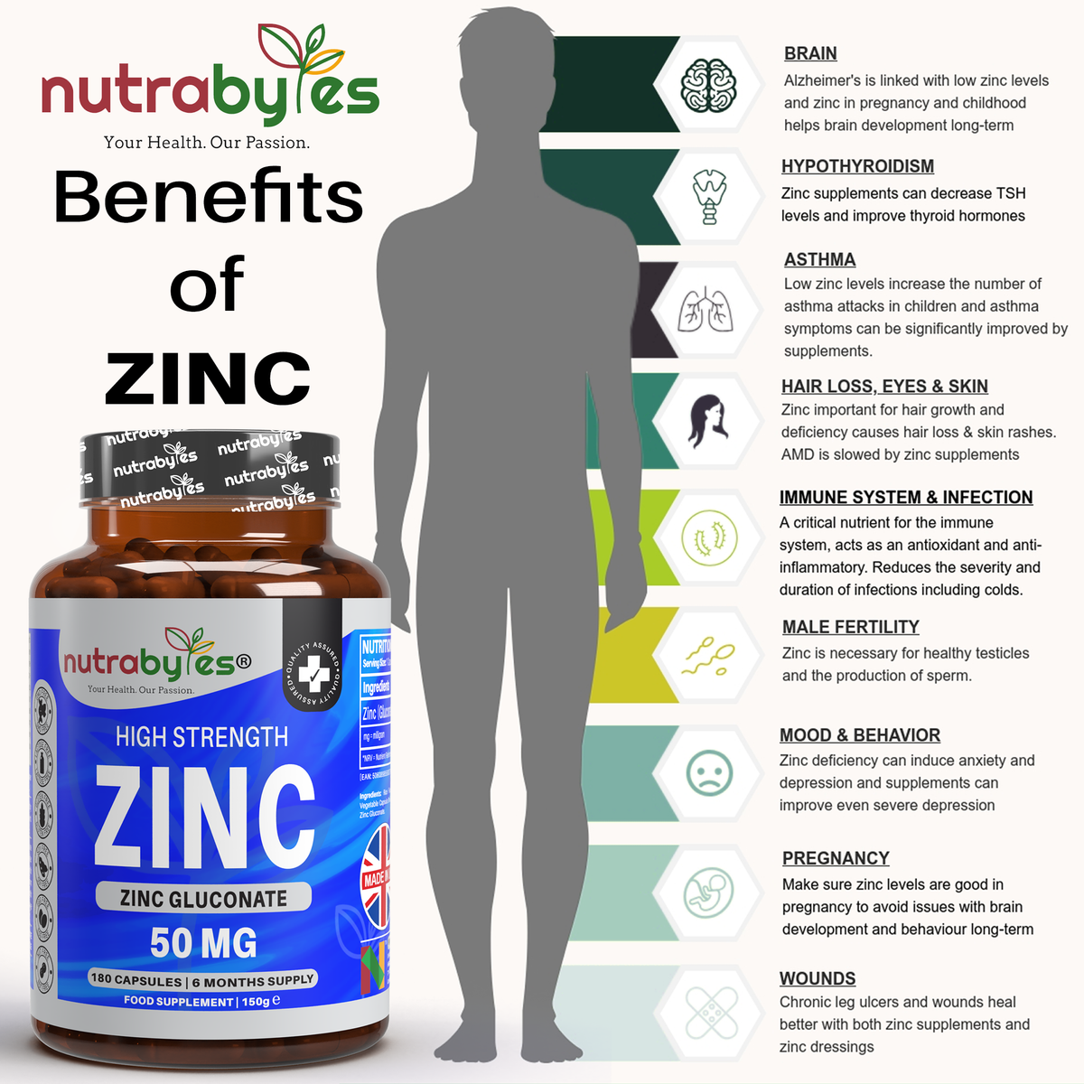 Zinc Gluconate 50mg nutritional benefits infographic