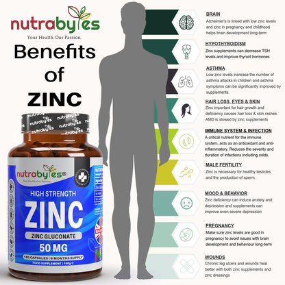 Zinc Gluconate 50mg nutritional benefits infographic