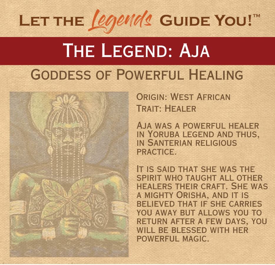 Sun God Medicinals Aja Relief Organic Herbal Tincture – 30ml