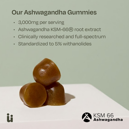 FeelGüd Calm & Focus Bundle – ashwagandha serving information
