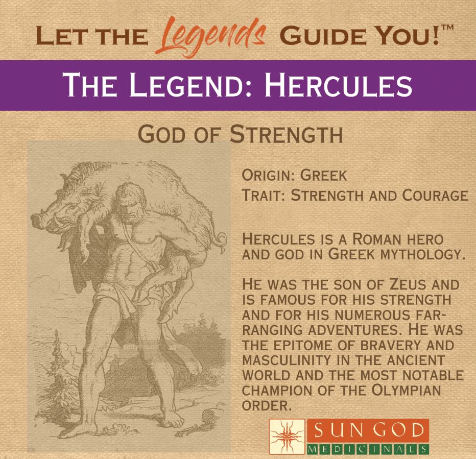 Sun God Medicinals Hercules Muscle Ease Organic Herbal Tincture – 30ml