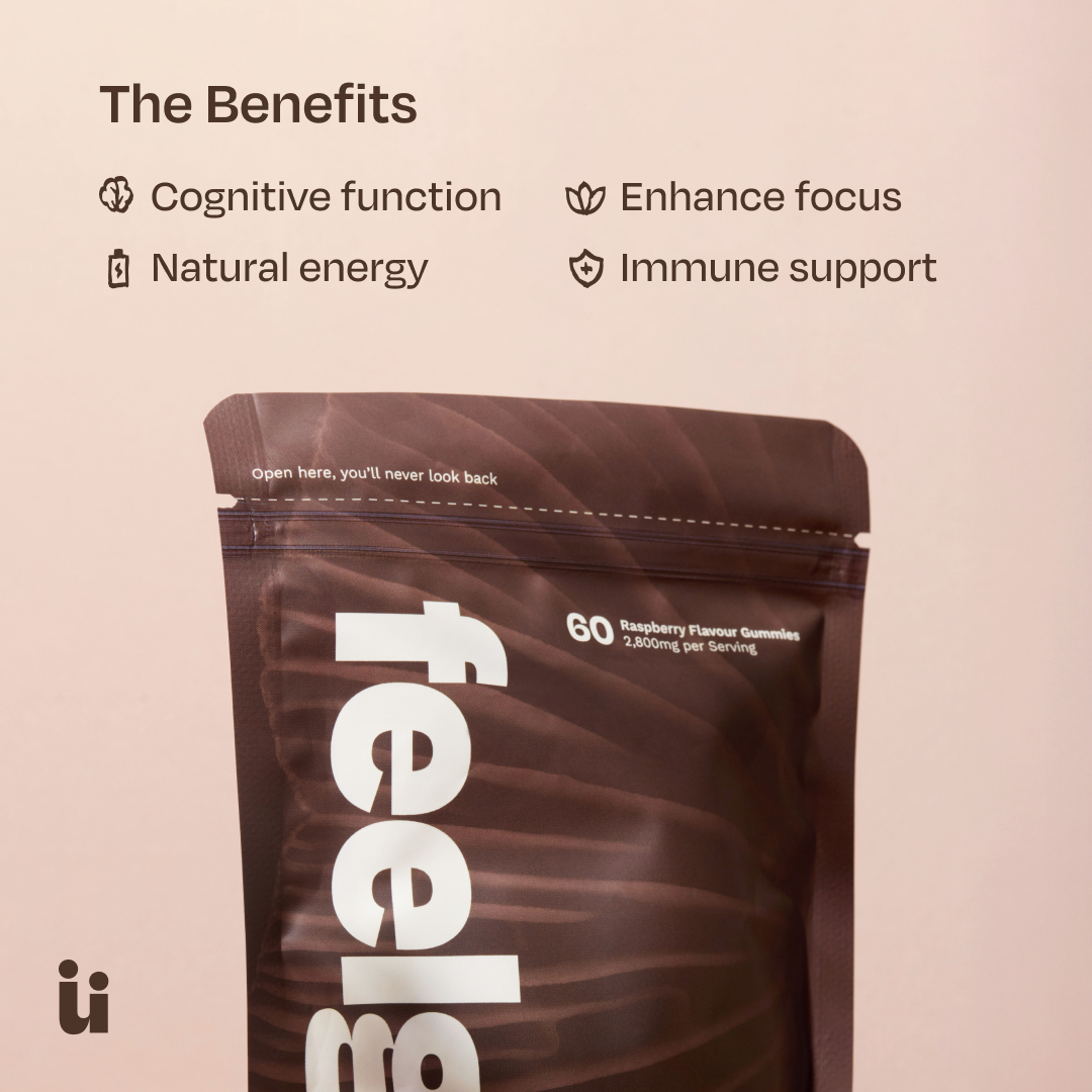 FeelGüd Calm & Focus Bundle – mushroom gummy product information