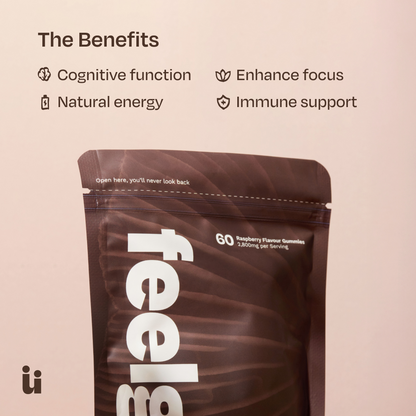 FeelGüd Calm & Focus Bundle – mushroom gummy product information
