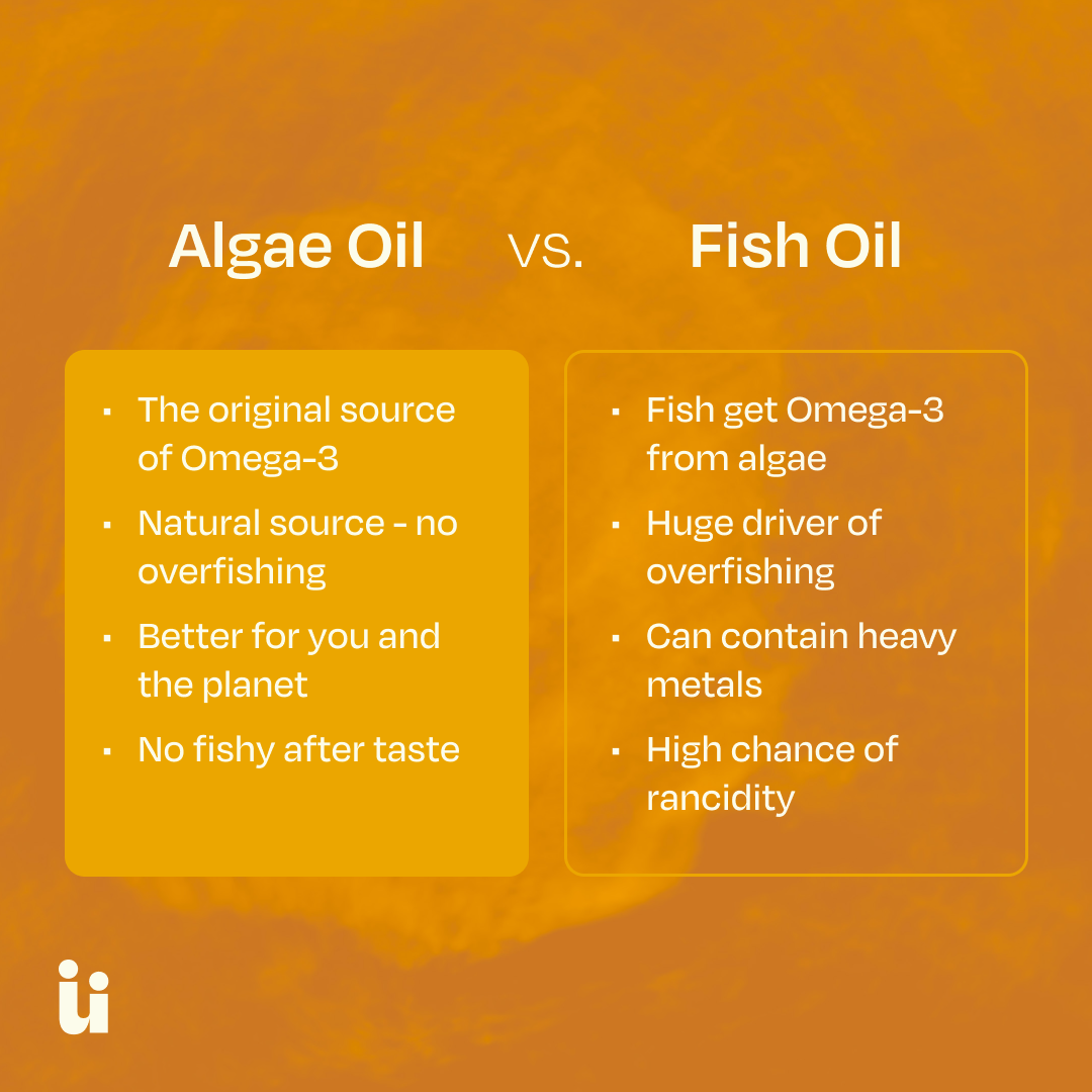 FeelGüd Omega-3 Gummies – algae oil and fish oil comparison