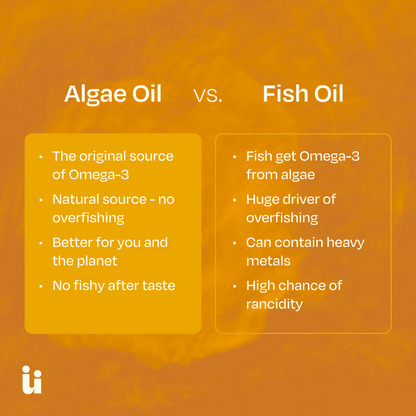 FeelGüd Omega-3 Gummies – algae oil and fish oil comparison
