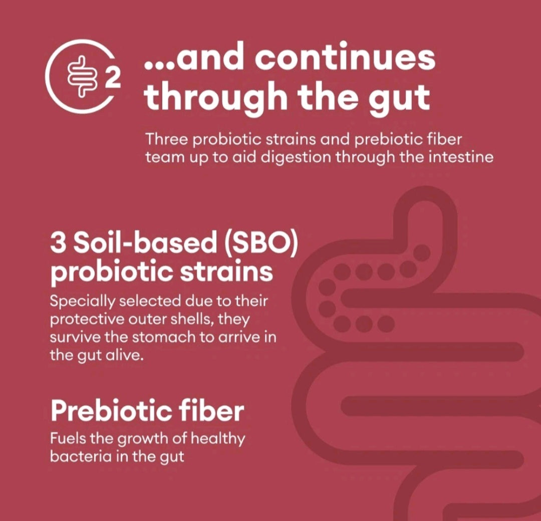 Text on a red background about probiotic strains and prebiotic fiber aiding digestion.