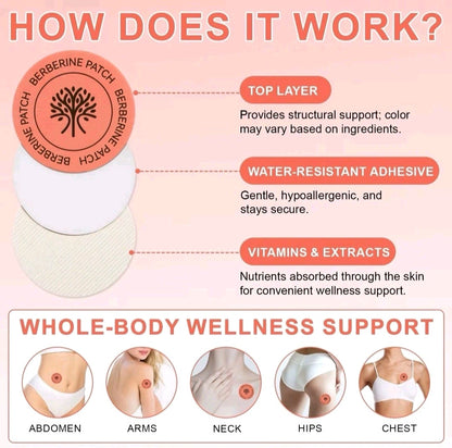 Diagram explaining how a Berberine patch works with labeled layers and wellness benefits.