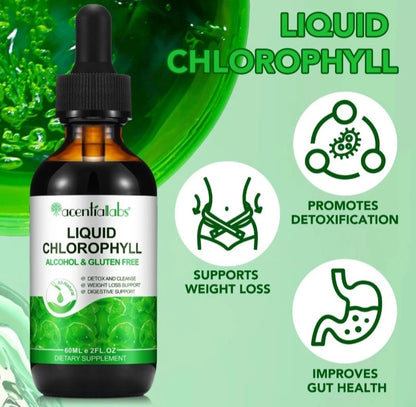 Liquid Chlorophyll Drops – Detox & Freshness Support