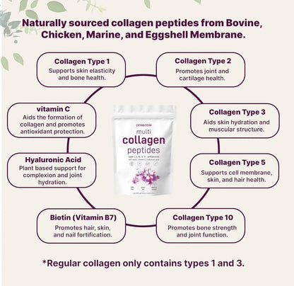 Diagram of collagen types and benefits with a package of Dermaroller multi collagen peptides in the center.